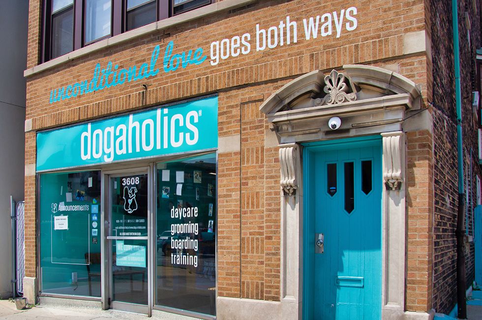 3 dogs found safe, reunited with owner after Dog-A-Holics daycare transport van stolen&nbsp;￼